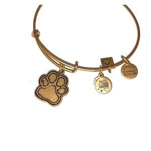Alex and Ani bracelet